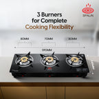 3 BURNER GAS STOVE — MANUAL